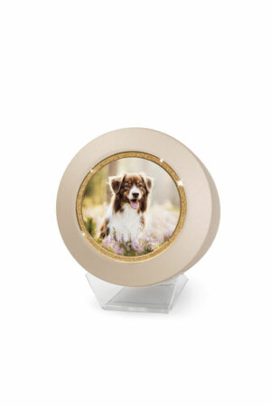 Sparkling Deckelmotiv