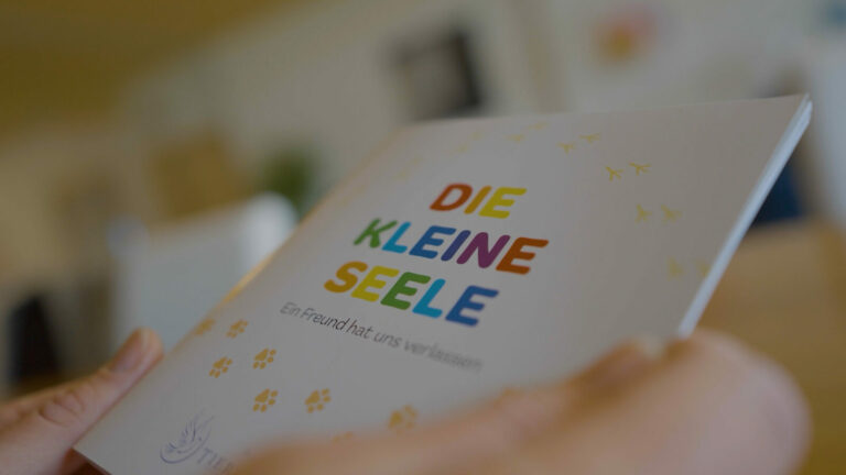 Trostbuch "die kleine Seele" für Kinder / Trauerbegleitung für Kinder / Tod und Trauer für Kinder begreifbar machen