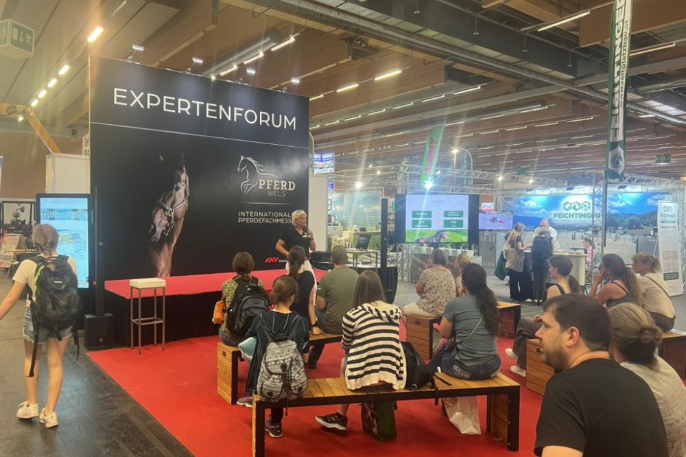 Pferd Wels 2025