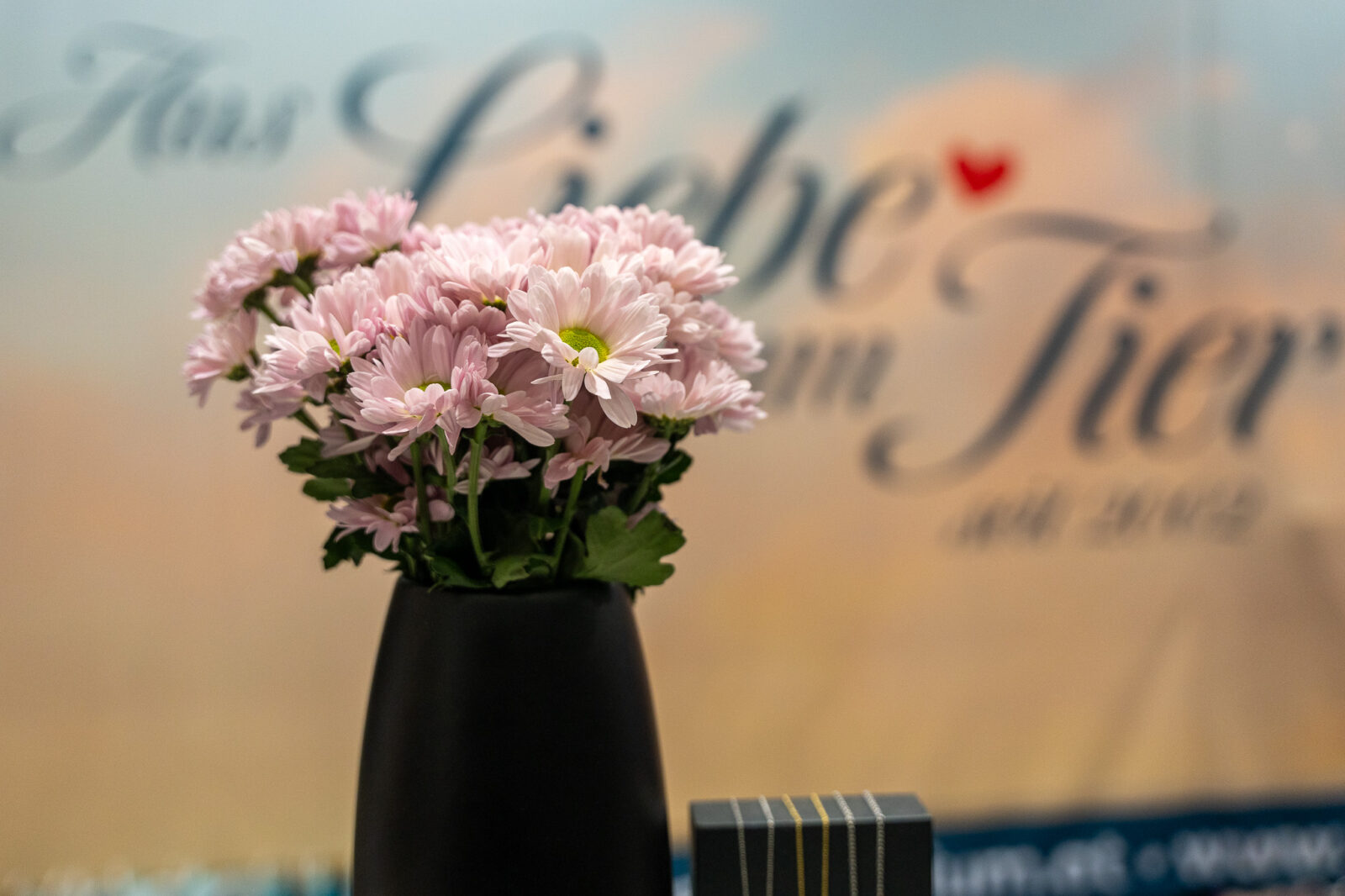 Messestand des Tierkrematoriums Lebring auf der Pferd Wels Pferdefachmesse 2025