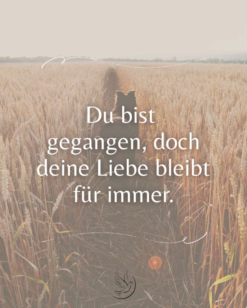 Trauersprüche für verstorbenes Haustier / Trauerspruch Tier / liebevoller Trauerspruch Vierbeiner