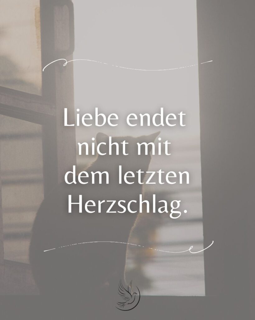 Trauersprüche für verstorbenes Haustier / Trauerspruch Tier / liebevoller Trauerspruch Vierbeiner