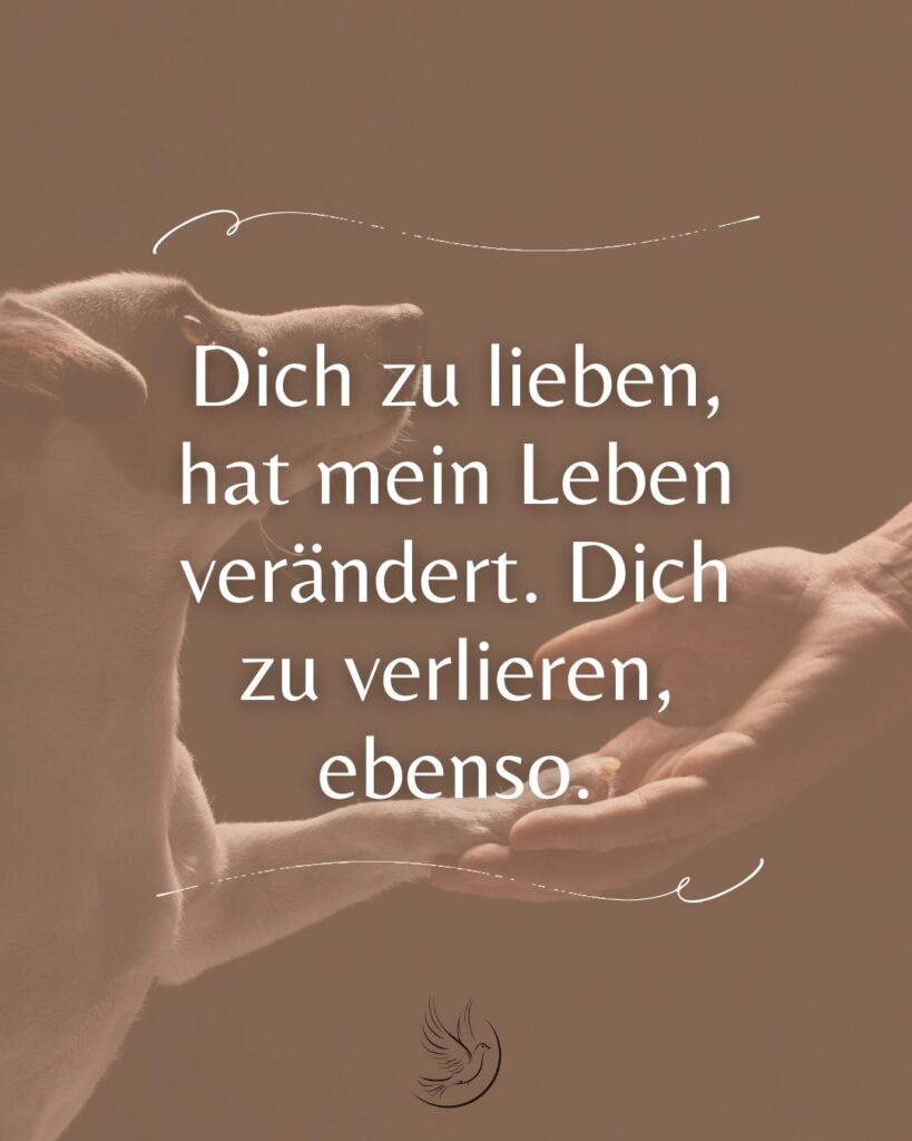 Trauersprüche für verstorbenes Haustier / Trauerspruch Tier / liebevoller Trauerspruch Vierbeiner